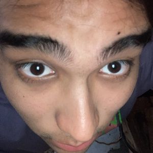 Meet your Posher, Gilbert